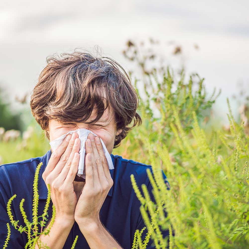 heuschnupfen Junger Mann im Gras niest - Allergie Heuschnupfen